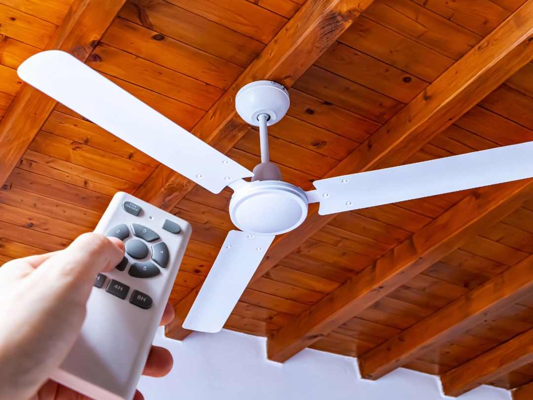 Ceiling Fan